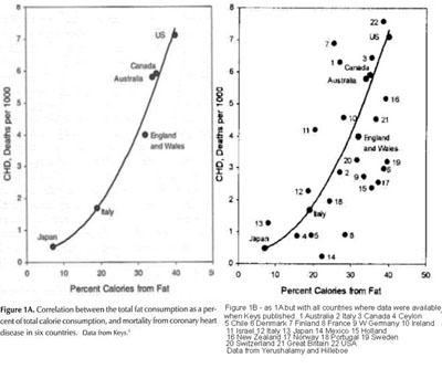 CHD vs Fat Consumption... or not?